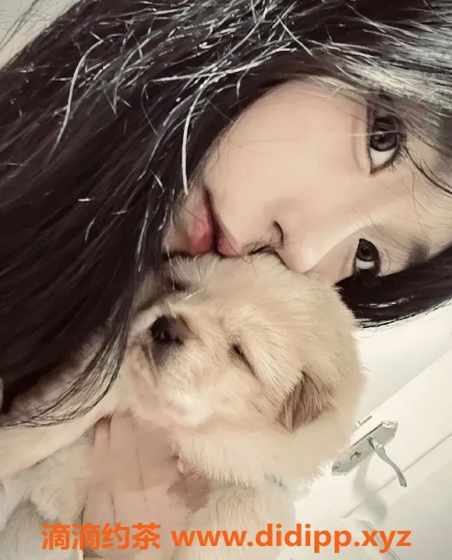 成都楼凤-成都小白，163cm，100斤，新人优惠600起