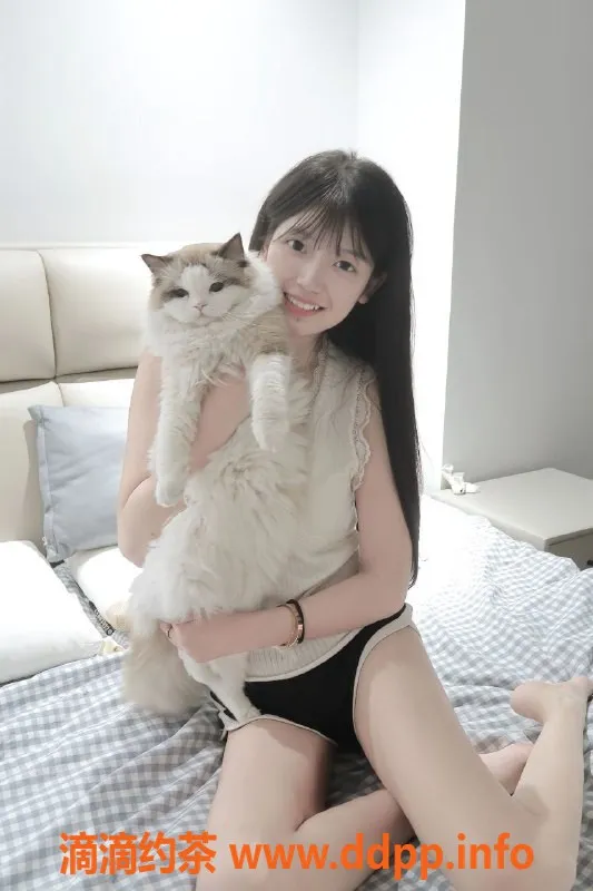 武汉楼凤资源信息,洪山小肥羊 优质服务等你来体验