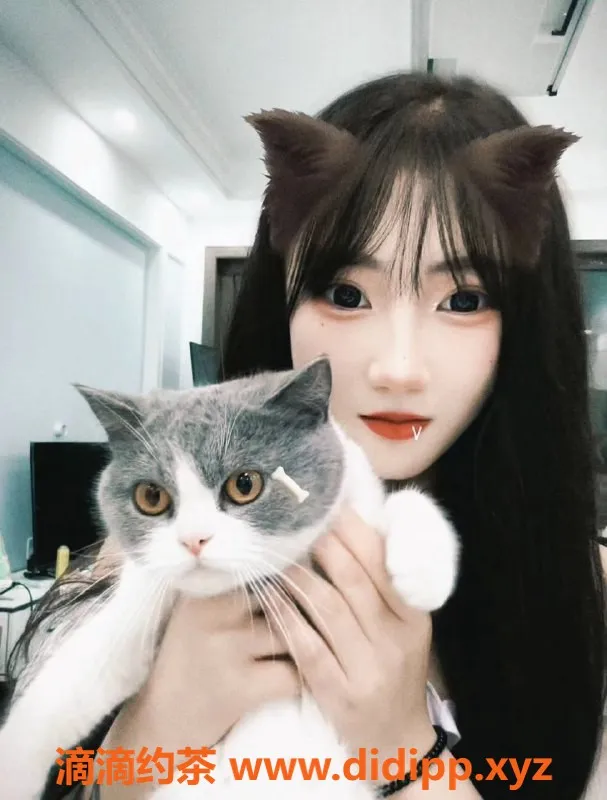 上海楼凤-闵行星星，10张内超值体验！