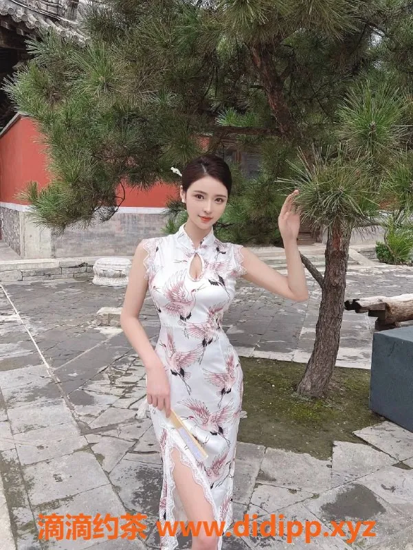 北京楼凤-晚晚 朝阳百子湾 御姐茶艺师 170cm 48kg