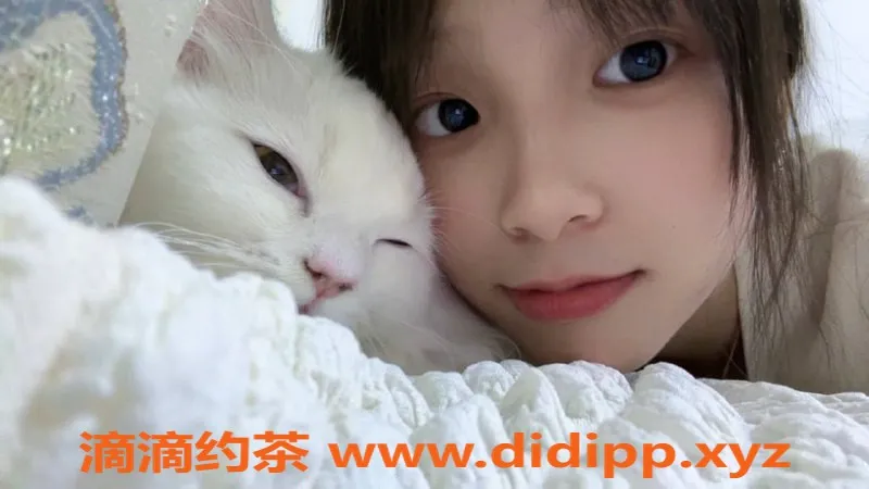 杭州上门服务-上门服务，林果，适中担保，特定认证