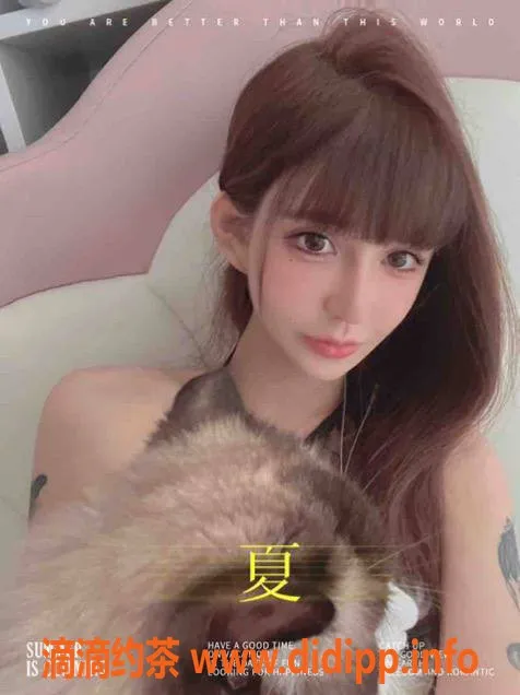 南京楼凤-秦淮区小不点，160身高C+奶，热情服务