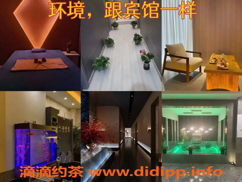 上海spa会所资源信息,浦东阳光世界大厦4T，超值只需￥220起