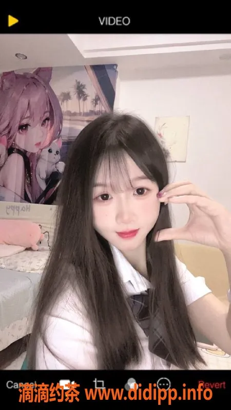 深圳楼凤资源信息,深圳福田荷包蛋，165cm 45kg 800元起