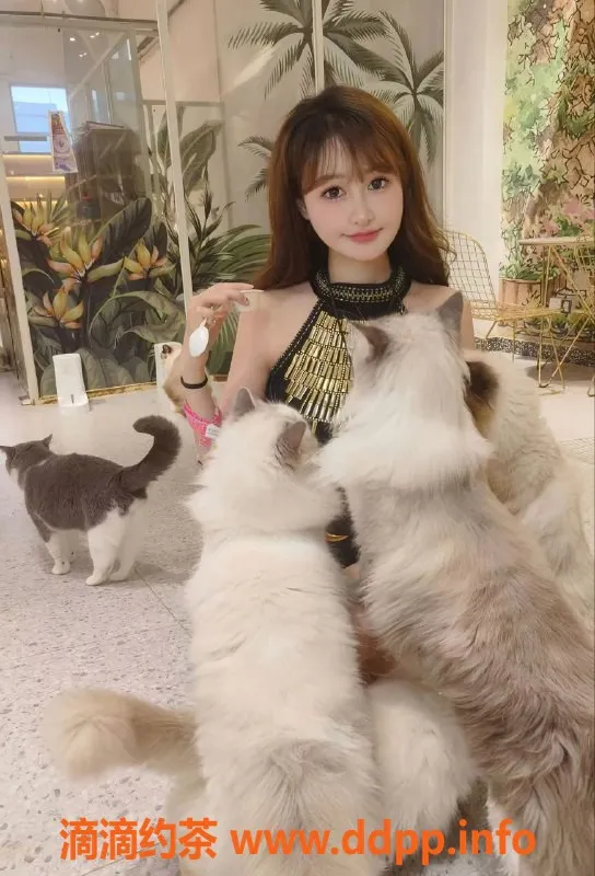 郑州楼凤资源信息,晚风老师回郑州，优质服务等你来体验