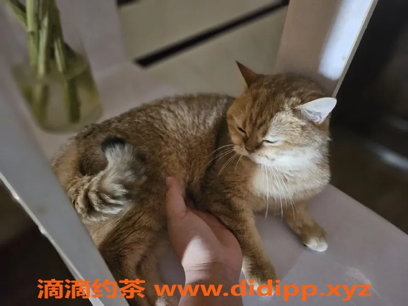 武汉楼凤-优优，年轻甜美女孩，服务超赞！