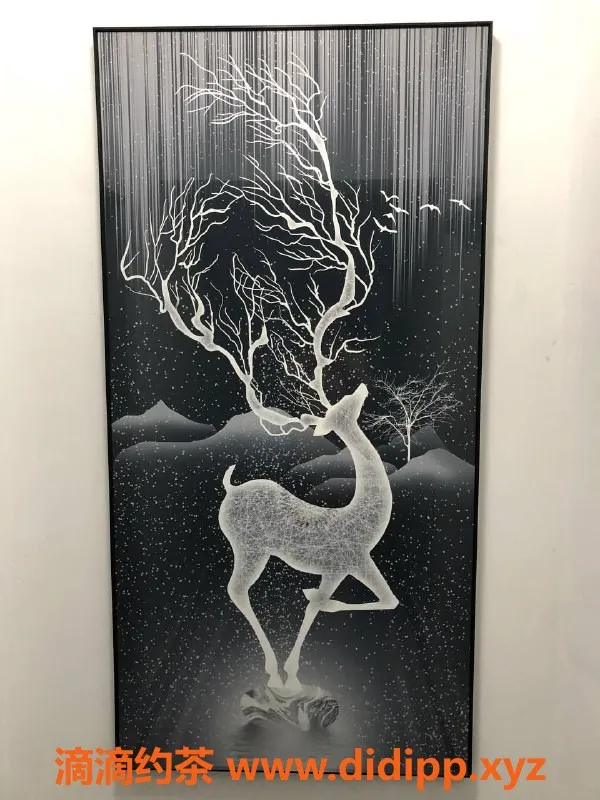 厦门楼凤-莲公寓安德鲁森：舒适泄火体验，原价599现450