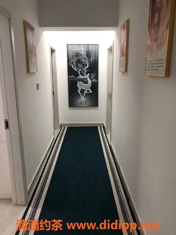 厦门楼凤资源信息,莲公寓安德鲁森：舒适泄火体验，原价599现450