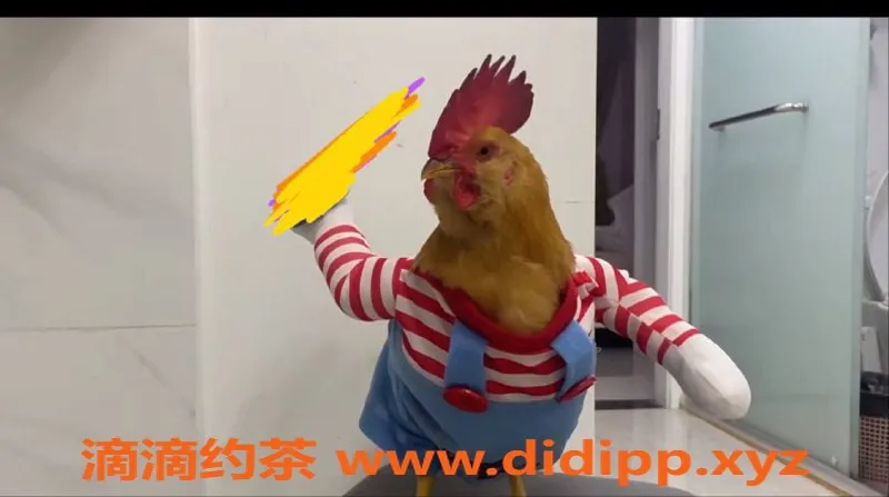 深圳楼凤资源信息,深圳南山小仙女，1500起，瘦底大胸